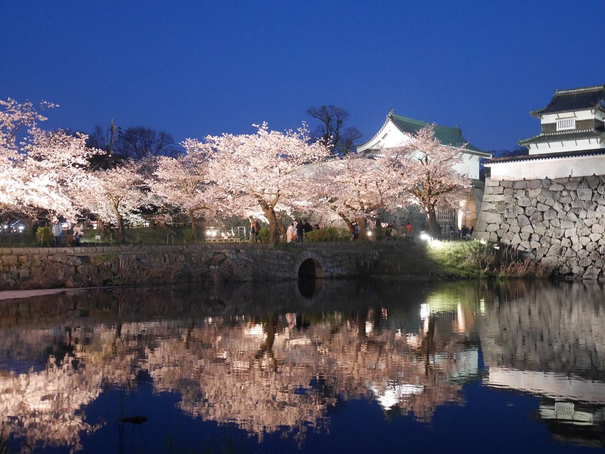 Maizuru Park / Fukuoka Castle Ruins