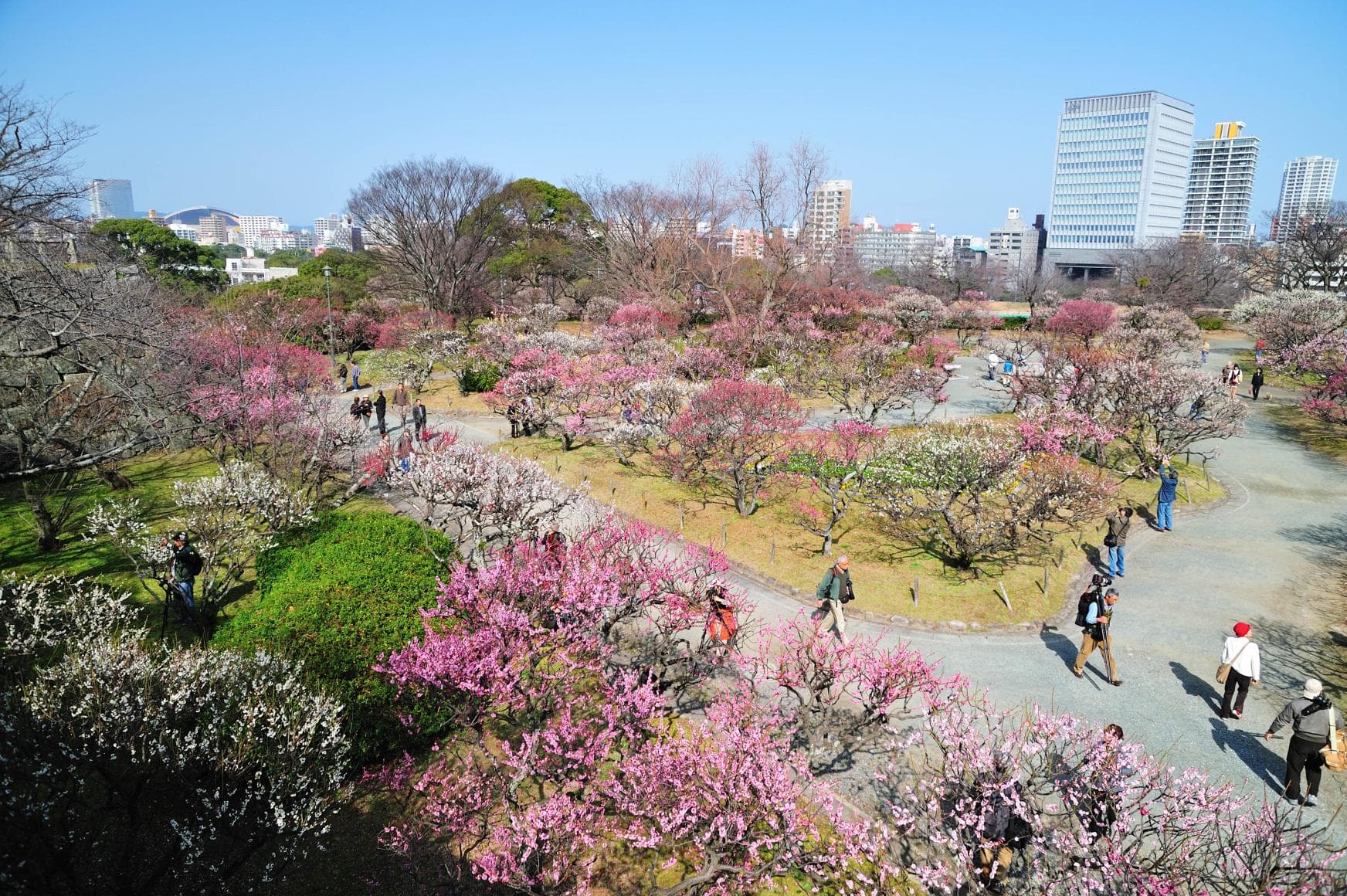 Maizuru Park