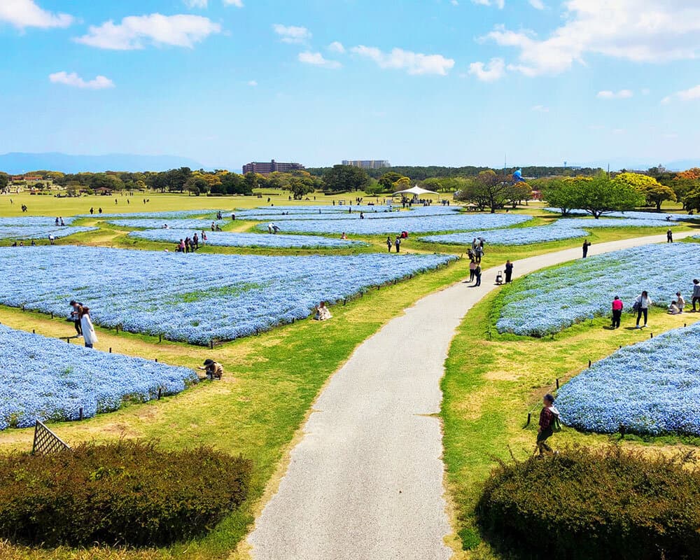 Uminonakamichi Seaside Park